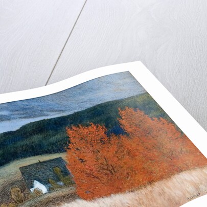 Autumnal Mood, 1899 by Helmer Osslund