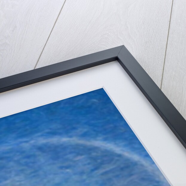 Lunar Halo, 1896 by Eugene Jansson