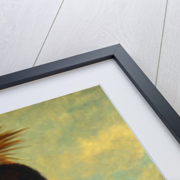 The White Cloud, Head Chief of the Iowas, 1844-45 by George Catlin