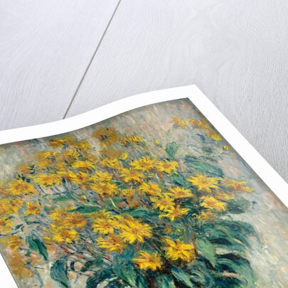 Jerusalem Artichoke Flowers, 1880 by Claude Monet