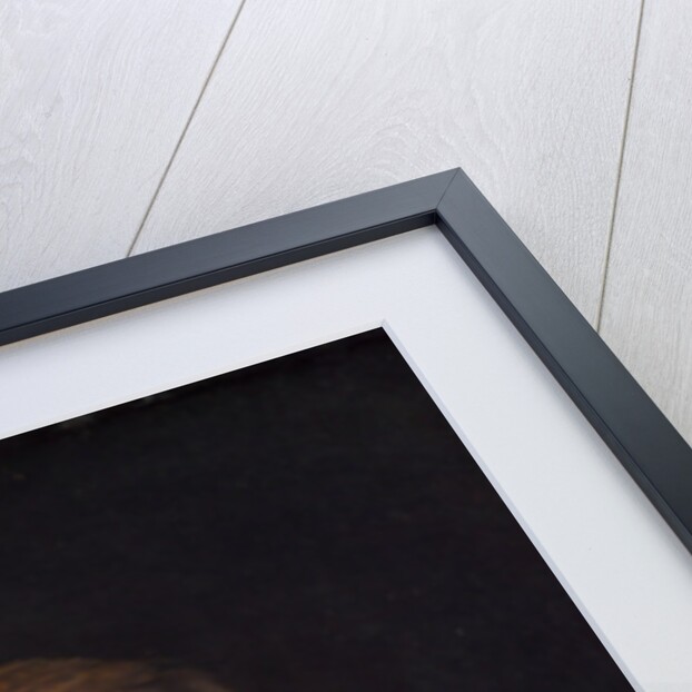 Saskia van Uylenburgh, c.1634-1640 by Rembrandt Harmensz. van Rijn