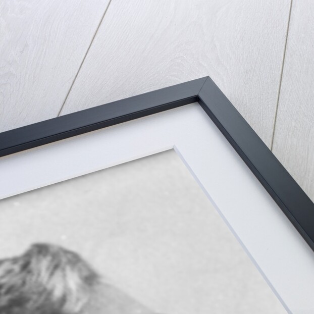 Milton M. Holland by American Photographer