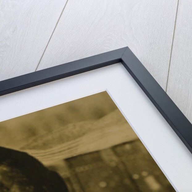 Philippe Bunau-Varilla plans a strait across Panama, c.1924 by American Photographer