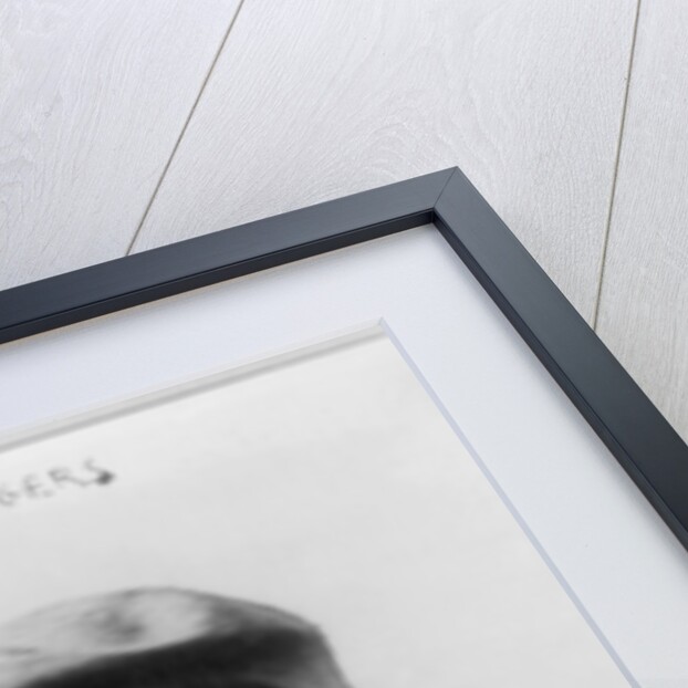 Calbraith Perry Rodgers, 1911 by American Photographer