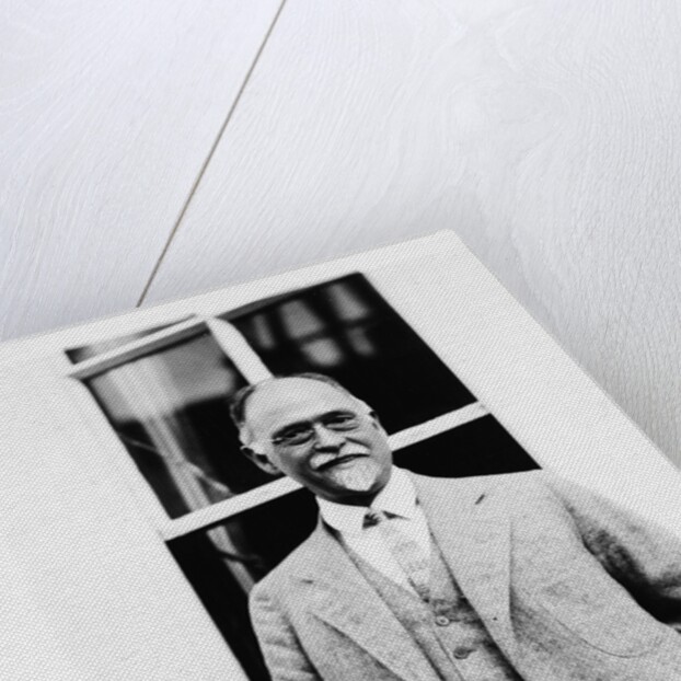 Professor Irving Fisher, 1927 by Anonymous