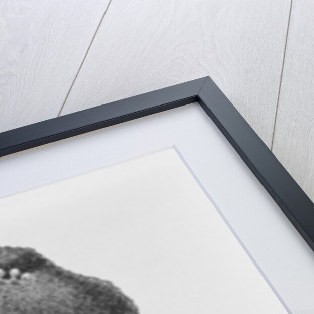 Ida B. Wells, 1891 by American School