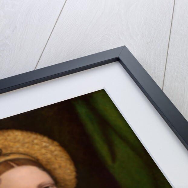 Portrait of a lady, 1520-1525 by Bernardino Luini