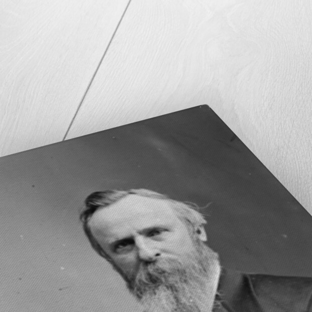 President Rutherford B. Hayes, c.1870-80 by American Photographer