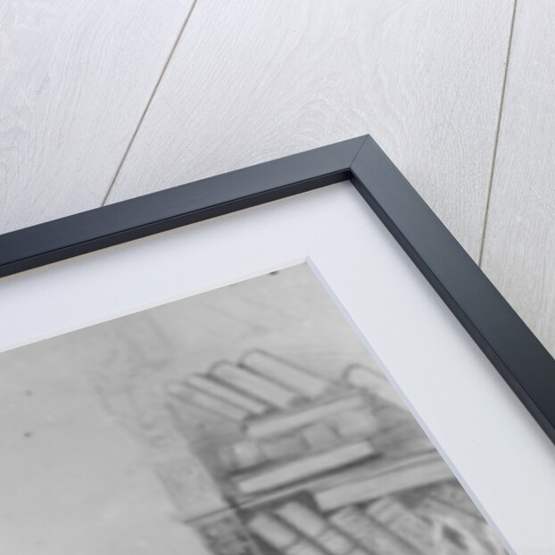 Don Pedro II, Emperor of Brazil, 1855-65 by American Photographer