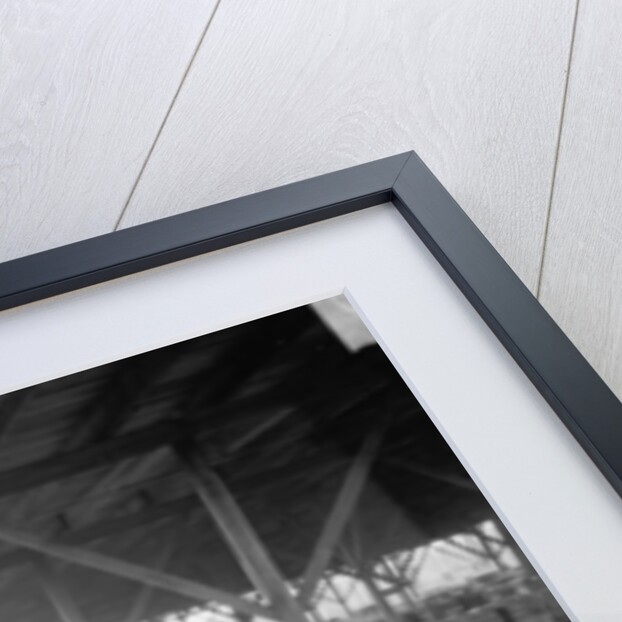 Sorting cotton for the Atlantic Cotton Compress Company, Pensacola, Florida, 1900-10 by Detroit Publishing Co.