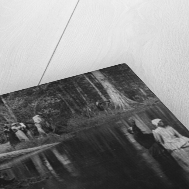 A Southern baptism, Aiken, 1900-06 by Detroit Publishing Co.