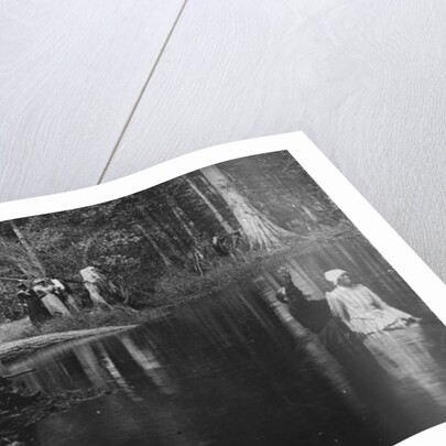 A Southern baptism, Aiken, 1900-06 by Detroit Publishing Co.