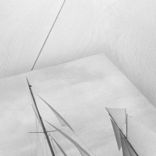 Shamrock II and Columbia at the start of the America's Cup, 1901 by Detroit Publishing Co.