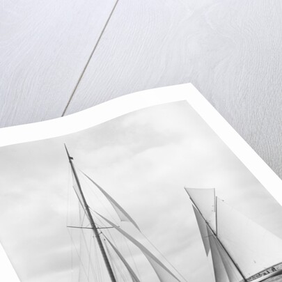 Shamrock II and Columbia at the start of the America's Cup, 1901 by Detroit Publishing Co.