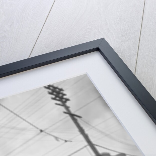 Ford Motor Company, Detroit, 1910-20 by Detroit Publishing Co.