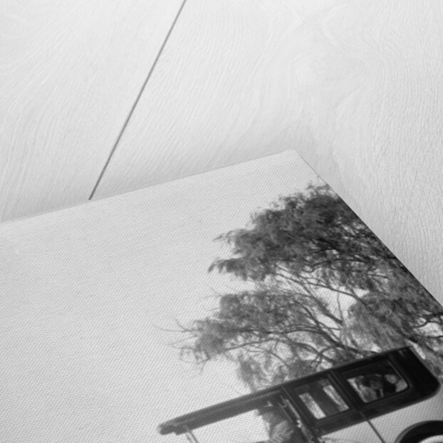 Packard 1912 Limousine by Detroit Publishing Co.