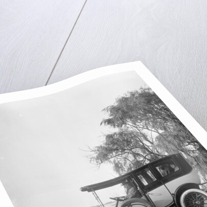 Packard 1912 Limousine by Detroit Publishing Co.