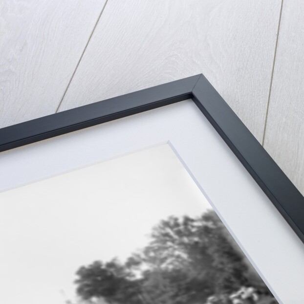 Band concert on Grand Canal, Belle Isle Park, 1903-20 by Detroit Publishing Co.