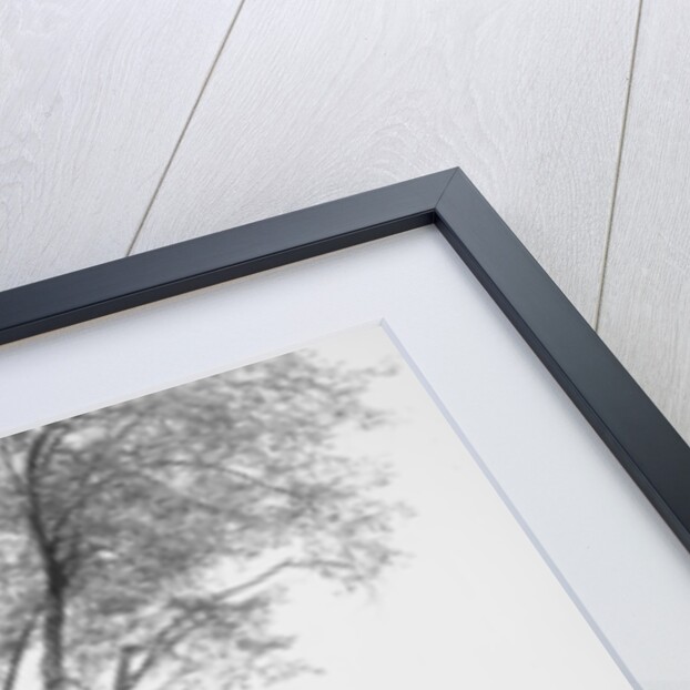 The Middle campus, Brown University, Providence, R.I. by Anonymous