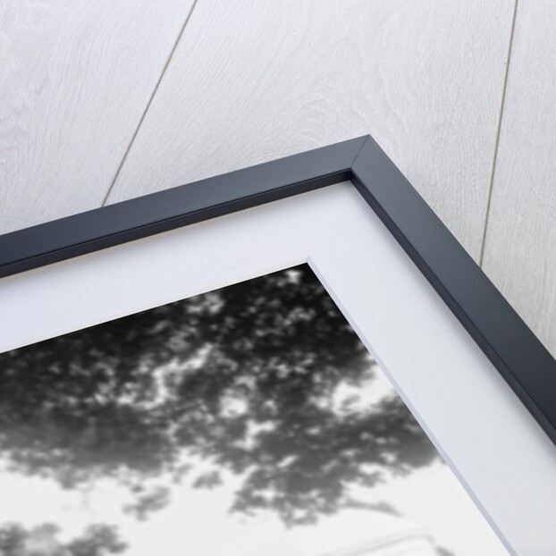 Monument to the Unknown Dead, National Cemetary, Arlington by Anonymous