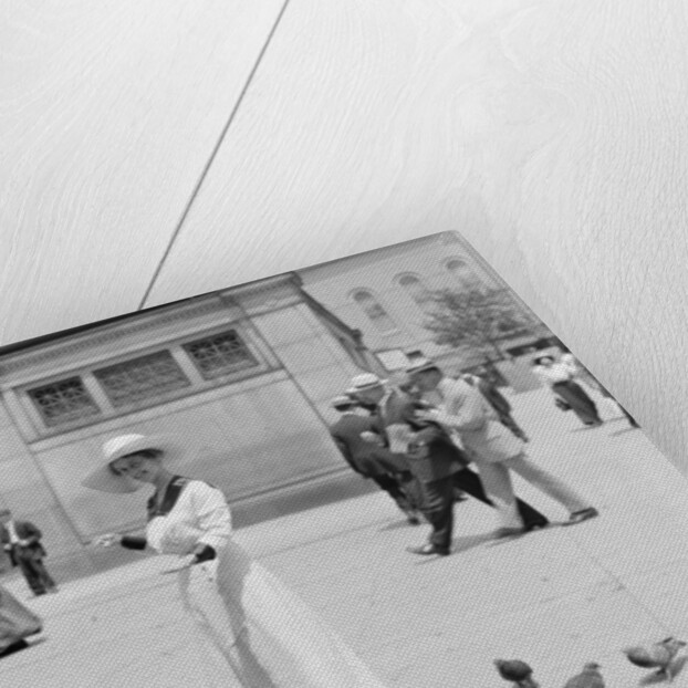 Feeding the pigeons, Boston Common by Anonymous