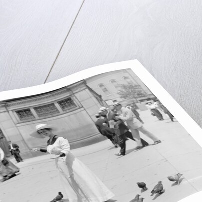 Feeding the pigeons, Boston Common by Anonymous