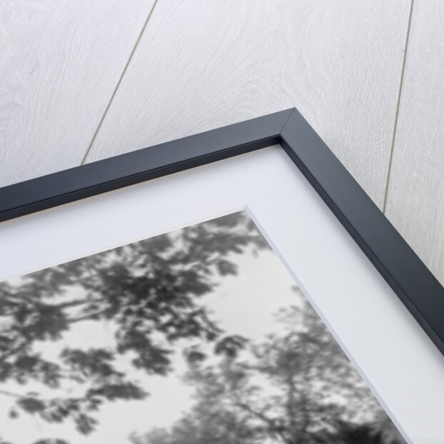 The Campus, Cornell University by Anonymous