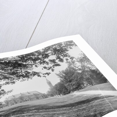 The Campus, Cornell University by Anonymous