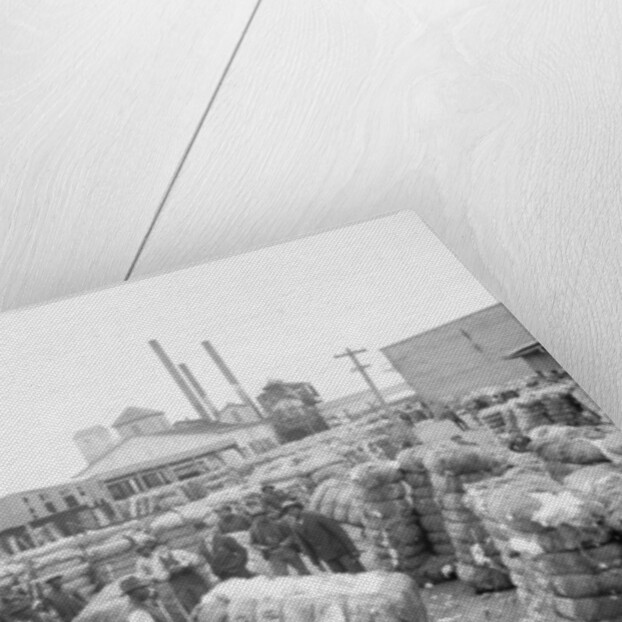 Weighing cotton by Anonymous