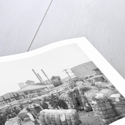 Weighing cotton by Anonymous