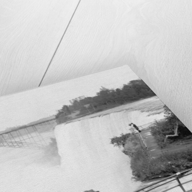 American Falls from Goat Island, Niagara by Unknown photographer