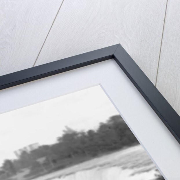American Falls from Goat Island, Niagara by Unknown photographer