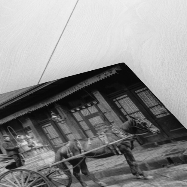 A New Orleans milk cart, New Orleans, La. by Anonymous