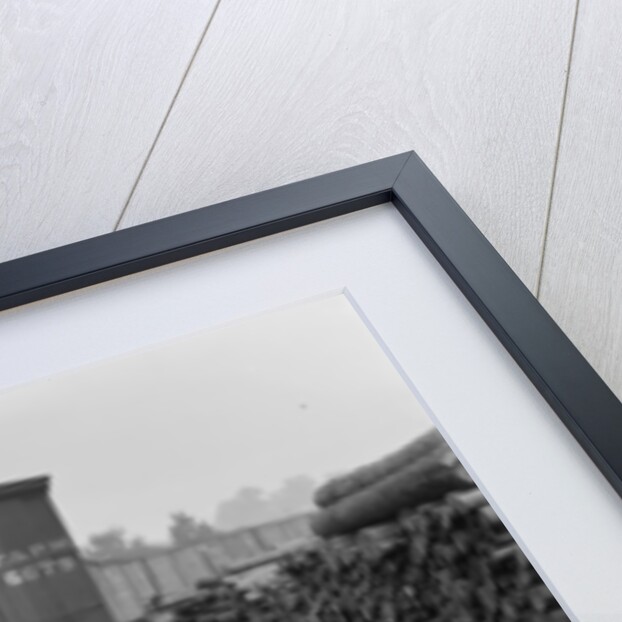 Girls of the paper mills, Appleton, Wisconsin, c.1880-99 by Detroit Publishing Co.