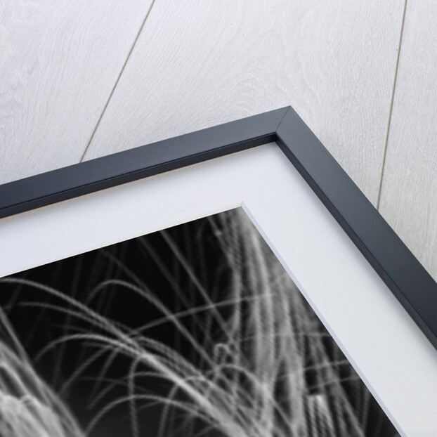 Midwinter carnival, storming the fortress, Upper Saranac Lake, N.Y., 1909 by Detroit Publishing Co.