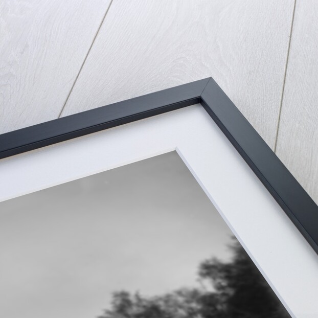 Scene in Jackson Park, Chicago, Illinois, 1890-1901 by Detroit Publishing Co.