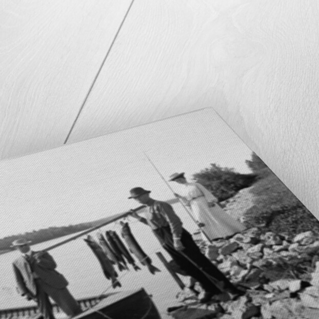 A Morning's catch in the Adirondacks, c.1903 by Detroit Publishing Co.