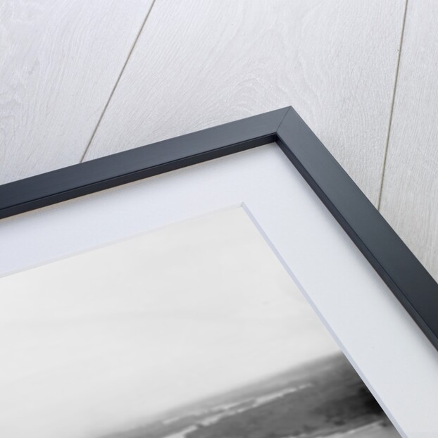 Indian Mound Park, St. Paul, Minnesota, c.1898 by Detroit Publishing Co.