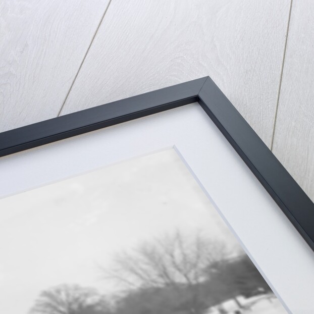 Detroit, Michigan, skating at Belle Isle, c.1890-1910 by Detroit Publishing Co.