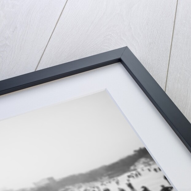 Skating in Central Park, New York, c.1900-06 by Detroit Publishing Co.