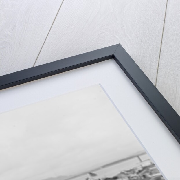 La Marina, San Juan, Puerto Rico, c.1903 by Detroit Publishing Co.