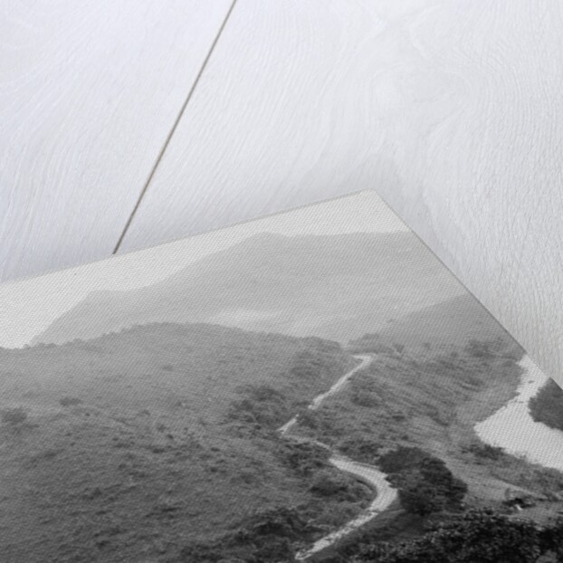 The Military Road, Puerto Rico, c.1903 by Detroit Publishing Co.