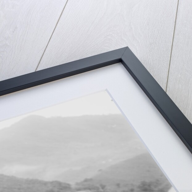 The Military Road, Puerto Rico, c.1903 by Detroit Publishing Co.