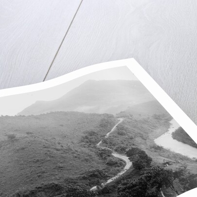 The Military Road, Puerto Rico, c.1903 by Detroit Publishing Co.