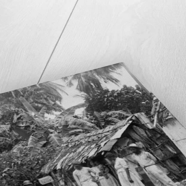 Puerto Rican natives, c.1903 by Detroit Publishing Co.