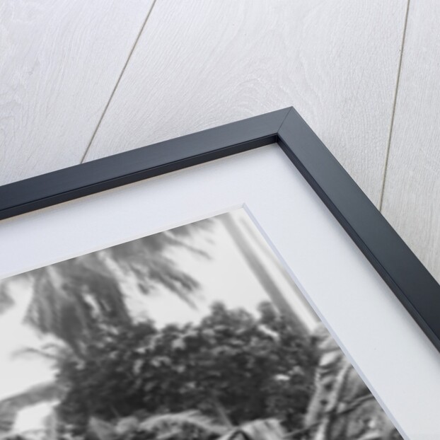 Puerto Rican natives, c.1903 by Detroit Publishing Co.