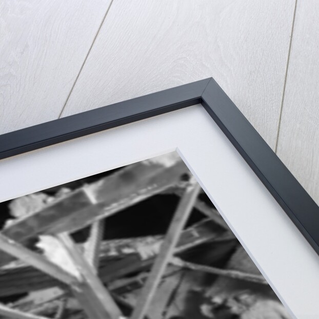 Del Ray Salt Co., c.1900-20 by Detroit Publishing Co.