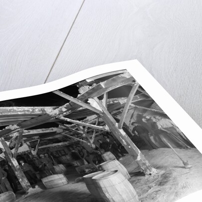 Del Ray Salt Co., c.1900-20 by Detroit Publishing Co.