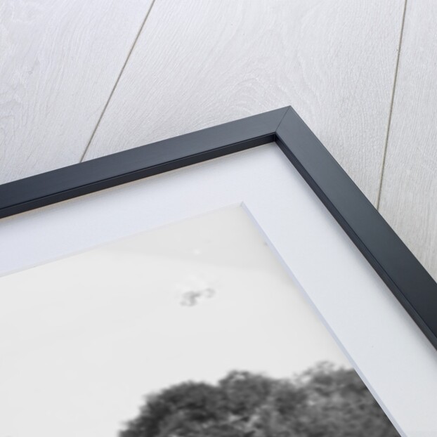 Central Park, New York, boat pond and Temple Beth-El by Detroit Publishing Co.