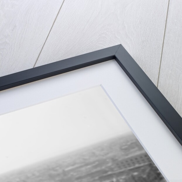 General view, Los Angeles, California, c.1880-99 by Detroit Publishing Co.